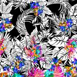 Colour:F