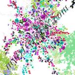 Colour:B