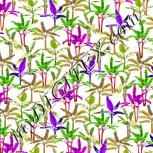 Colour:D