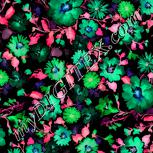 Colour:F