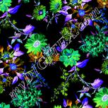 Colour:F