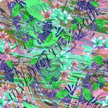 Colour:C