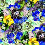 Colour:F