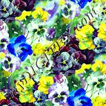 Colour:K