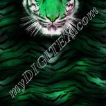 Colour:C