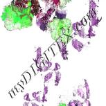 Colour:C