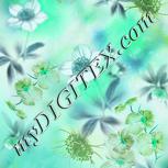 Colour:C