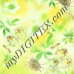 Colour:K