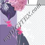 Colour:B