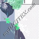 Colour:C