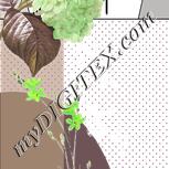 Colour:D