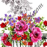 Colour:A