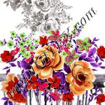 Colour:B