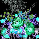 Colour:F