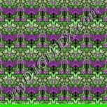 Colour:D