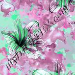 Colour:C