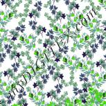 Colour:C
