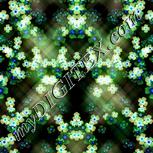 Colour:F