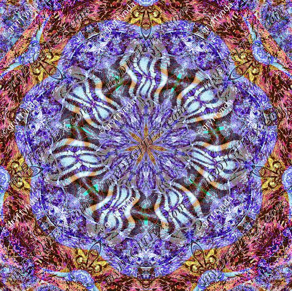 DSCN2362xxmkalcrsqkalw