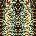 Colour:K