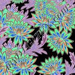 Colour:F