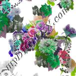 Colour:C