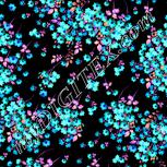 Colour:F