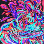 Colour:F