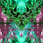 Colour:B