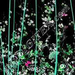 Colour:C