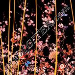 Colour:J