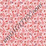 Colour:J