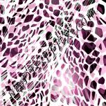 Colour:B