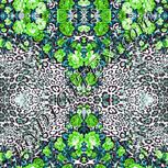 Colour:C