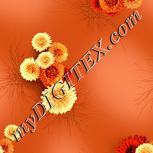 Colour:A