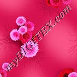 Colour:B