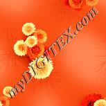 Colour:J