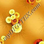Colour:K