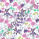 Colour:C