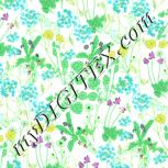 Colour:K