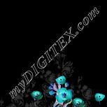Colour:F