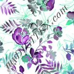 Colour:C