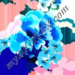 Colour:A