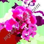 Colour:C