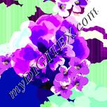 Colour:D
