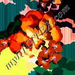 Colour:F