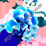 Colour:J