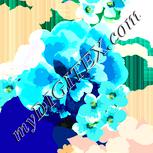 Colour:K
