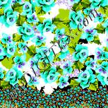Colour:C