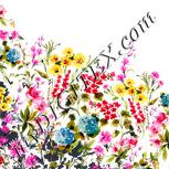 Colour:A